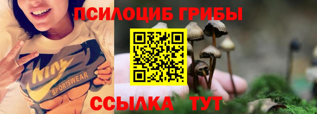Псилоцибиновые грибы прущие грибы Барабинск